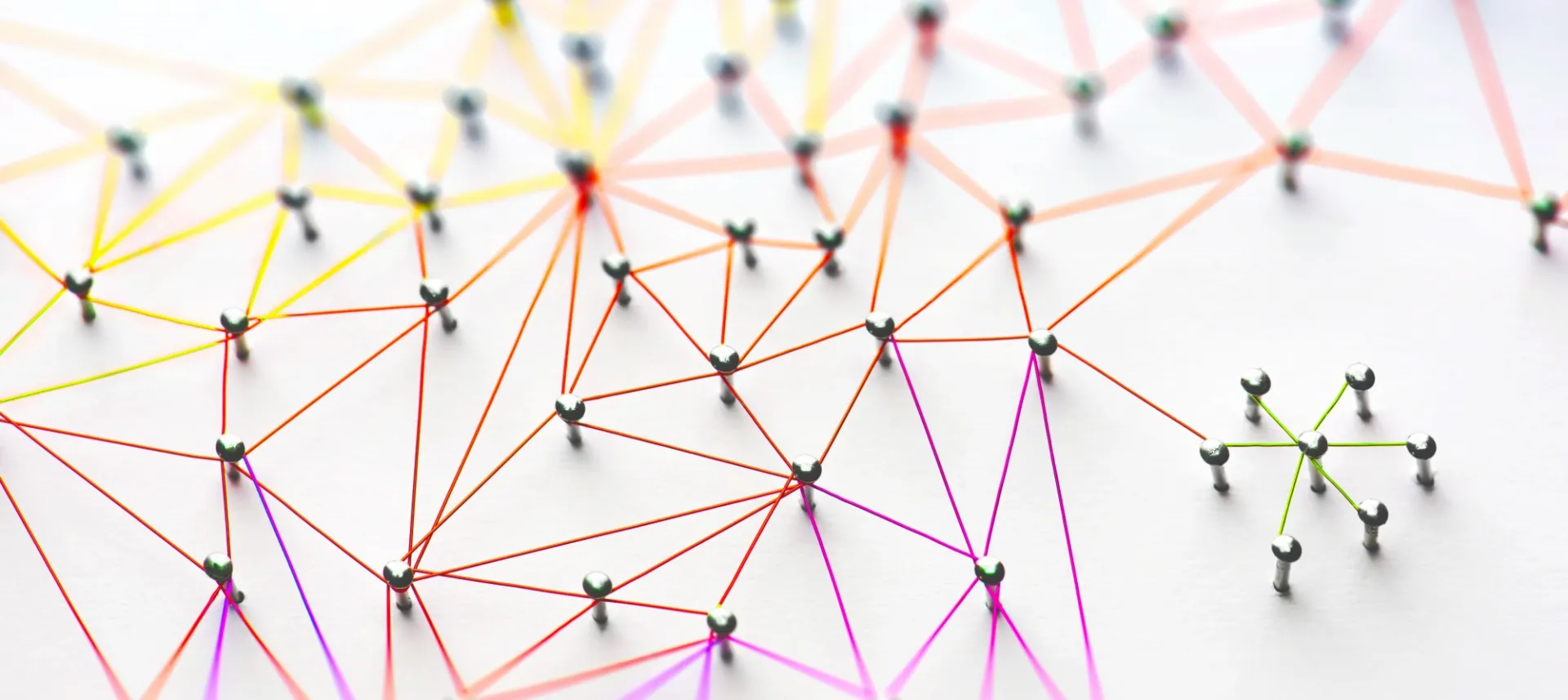 Colorful data network